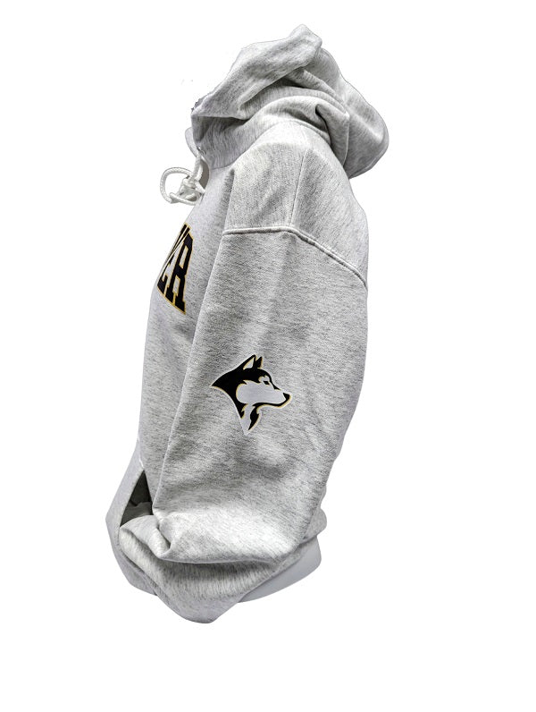 Andover Post Secondary Hooded Sweatshirt