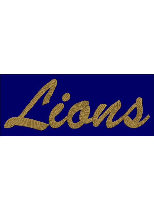 Providence Lions or Name Embroidered Jacket Back