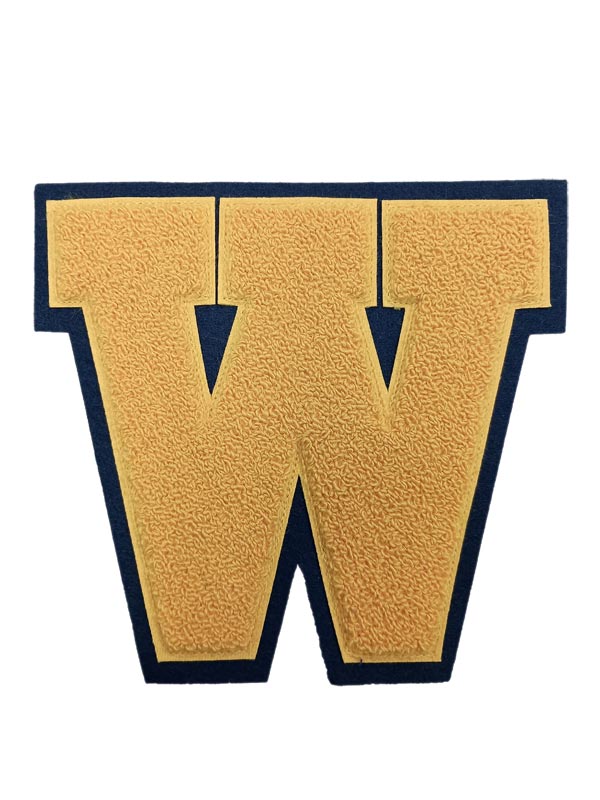 Wayzata Chenille Front Letter
