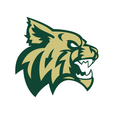 Chisago Lakes Hockey