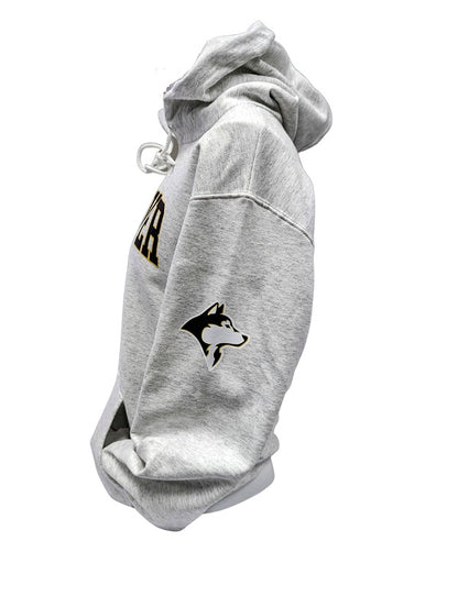 Andover Post Secondary Hooded Sweatshirt