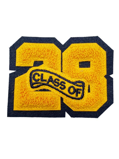 Graduation Year