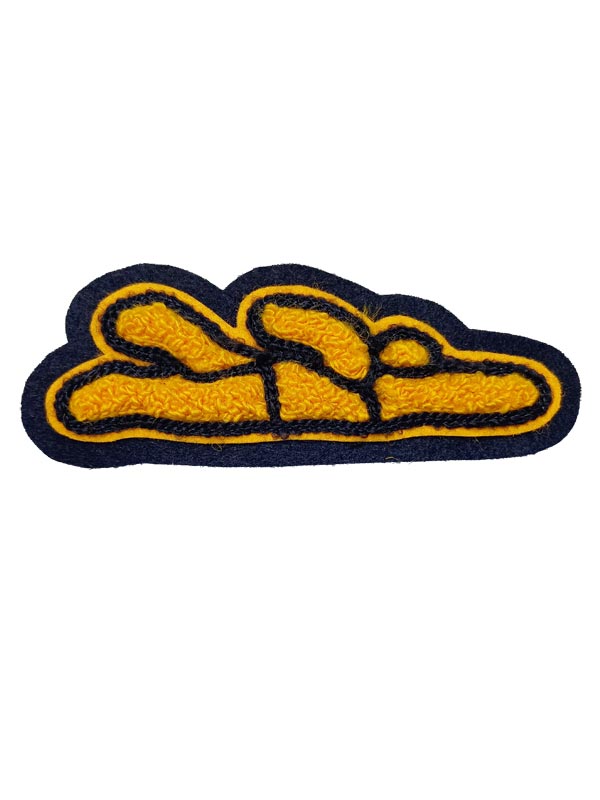 Swimmer Female Chenille Award Symbol