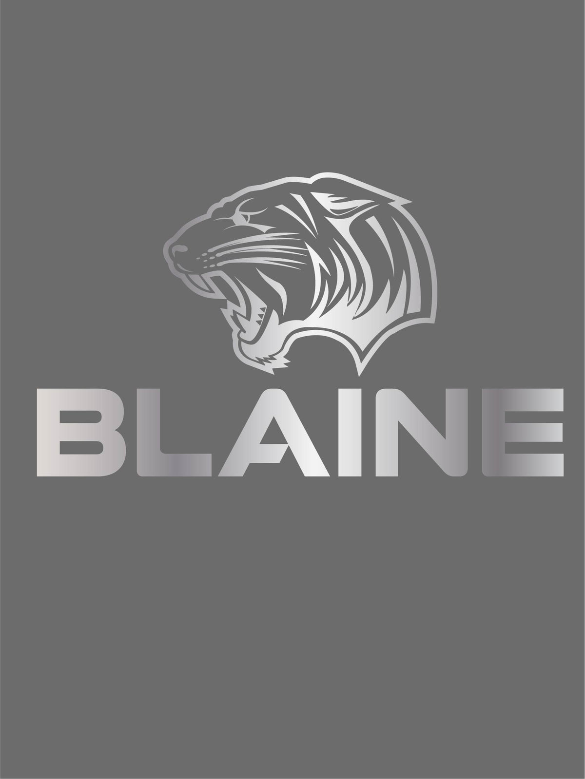 Blaine Bengals - Fog Community 40 oz. Tumbler with Handle