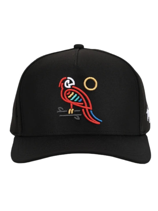 Parrotdice Waggle Snapback Hat 26