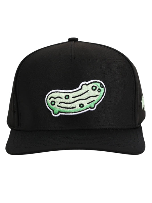Pickled Waggle Snapback Hat 26
