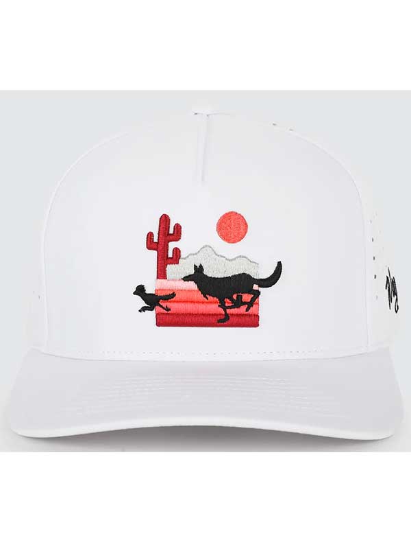 The Chase Waggle Snapback Hat 24
