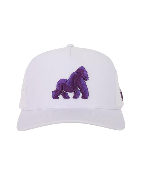 Grape Ape Waggle Snapback Hat 25