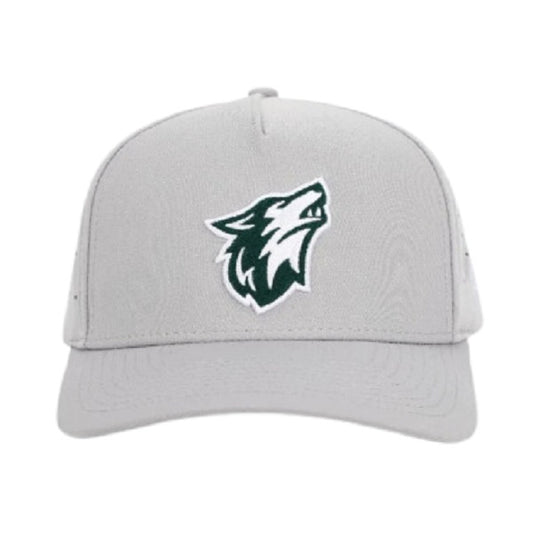 Alpha Waggle Snapback Hat