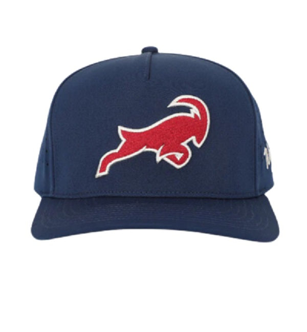 Big Horn Waggle Snapback Hat