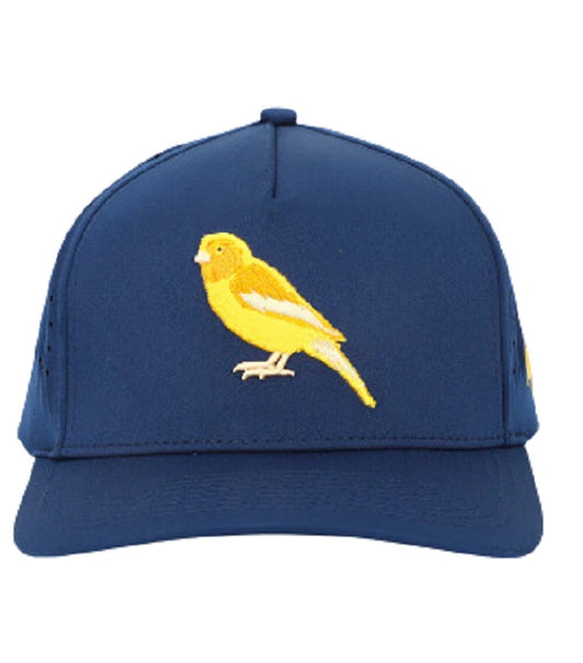 Birdies Waggle Snapback Hat