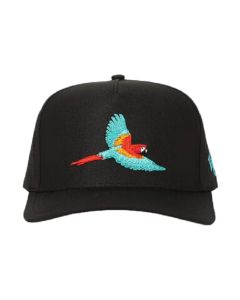 Polly Waggle Snapback Hat