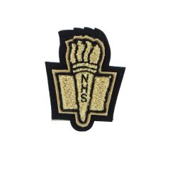 Fridley Vegas Gold NHS Torch Chenille Award Symbol