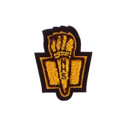 Irondale NHS Torch Chenille Award Symbol